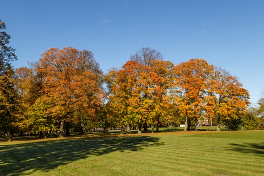 Beautiful landscape - Urban autumn landscape