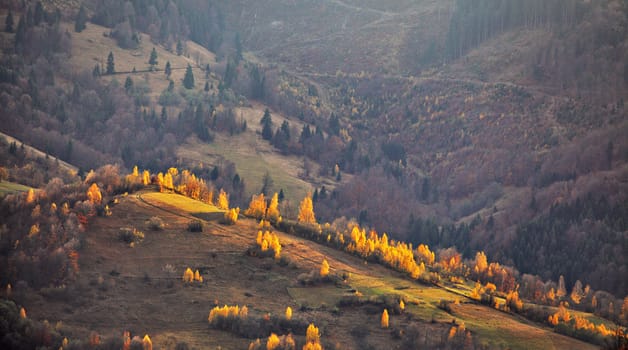 Autumn mountain panorama. October on Carpathian hills. Fall