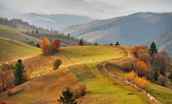 Autumn mountain panorama. October on Carpathian hills. Fall