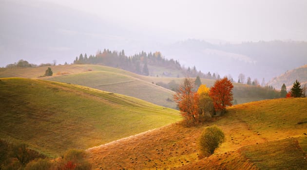 Autumn mountain panorama. October on Carpathian hills. Fall