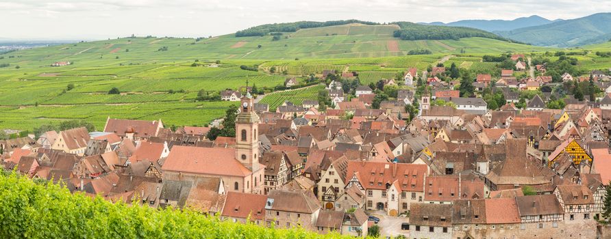 Riquewihr in the heart of the Alsatian vineyard Alsace France Panorama