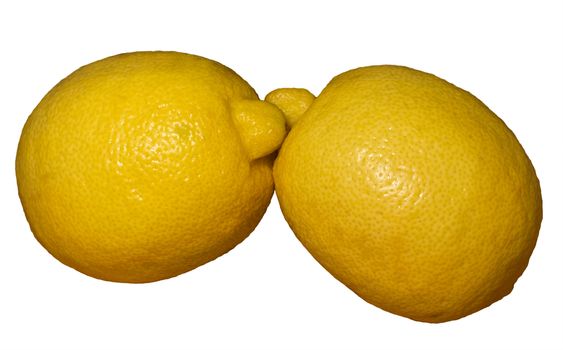 Two yellow whole unpeeled lemons, lying side by side, like kissing. Fruits, isolated on a white background. Selective focus image.