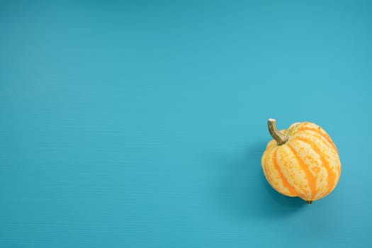Yellow striped Festival squash, on a teal painted wooden background with copy space