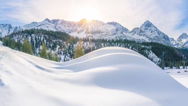 Enchanting winter landscape with the Austrian Alps and their fir forest, covered in snow. Picture captured in Ehrwald, Austria.