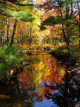 Colorfull Indian Summer near by Kennybunkport MAINE