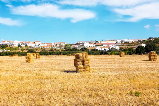 Hay bales in the fields near Aljezur in Portugal