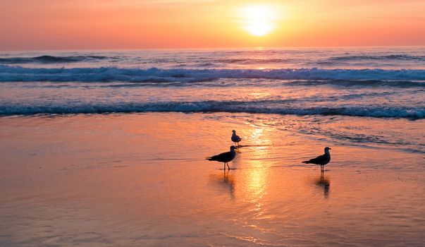 Sunset at the beach in Portugal
