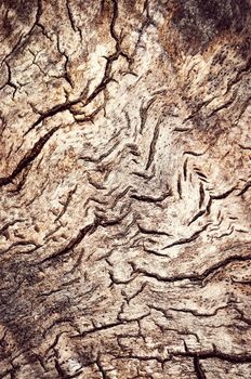 abstract background or texture old weathered wood with grooves