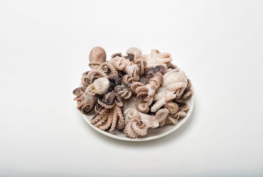 many small fresh octopus lies on a saucer isolate on a white background