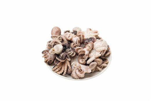 many small fresh octopus lies on a saucer isolate on a white background