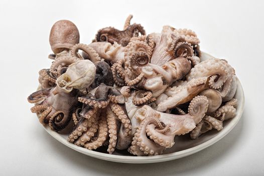 many small fresh octopus lies on a saucer isolate on a white background