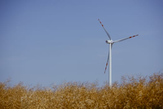 wind trubine at sunny day with blue sky