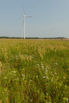 wind trubine at sunny day with blue sky