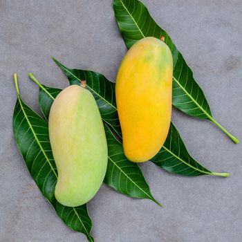 Fresh organic traditional thai mangoes high vitamins and minerals set up on dark stone background.