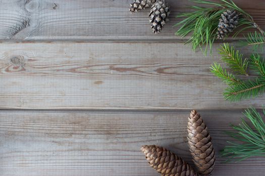 Christmas mock up with cones and Christmastree branches