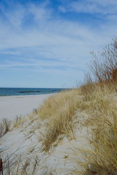 sunny beach with sand dunes and blue sky