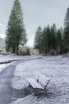 Winter image with an alley and a wooden bench, covered with frost, near the coniferous forest, in Ehrwald, Austria