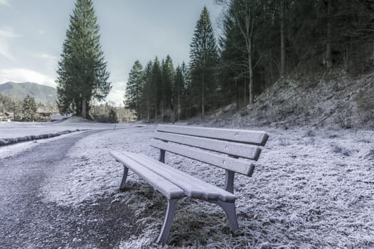 Winter scenery with the frozen bench and grass, on the side of a  forest alley in a small Austrian village, called Ehrwald.