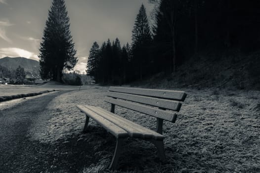 Wooden bench on the side of an alley, near the forest, covered by December frost in Ehrwald, Austria