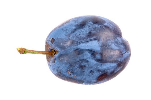 Blue plum isolated on a white background