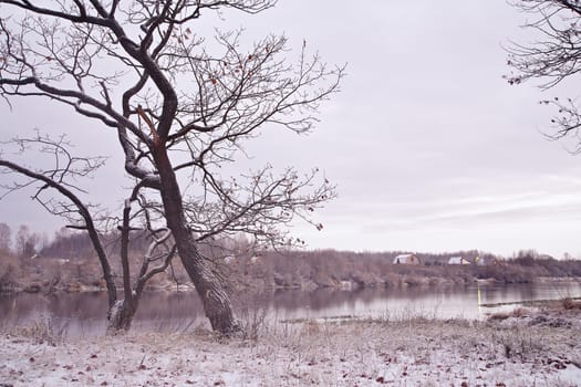 First snow on the riverbank. Belarus autumn morning landscape