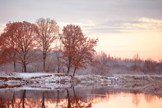 Cloudy autumn dawn. First snow on the autumn river. Oaks on riverbank. Belarus autumn scene