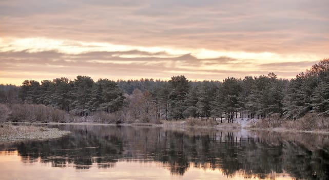 Cloudy autumn dawn. First snow on the autumn river. Fir trees on riverbank. Belarus autumn scene