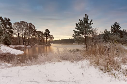 Cold snowy morning on the lake. Late autumn. Trees on lakeside in autumn