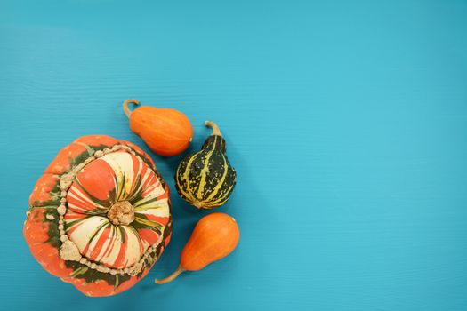 Turks turban squash with small orange and green ornamental gourds arranged with copy space on a blue painted wooden background