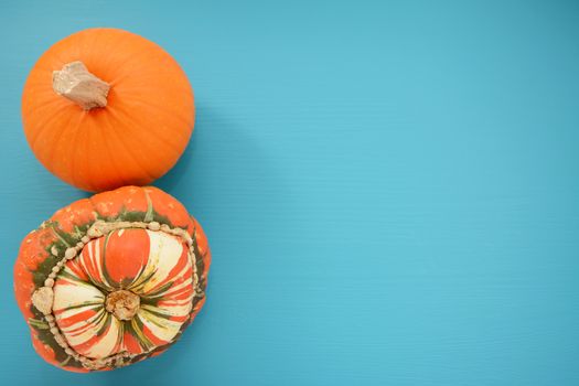 Ripe pumpkin and Turks turban squash with copy space on turquoise background of painted wood
