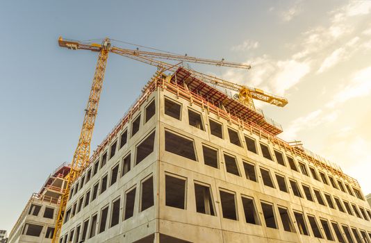 Office building under construction and the two tower cranes near it, in a sunny day