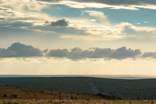 Wind blowing the clouds in the field with a wind farm in the background.