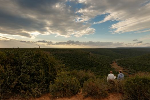 Two ladies standing and overlooking a large field of bushes.