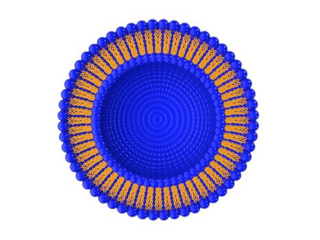 Medical 3D illustration of liposomes bi-layer structure isolated on white background