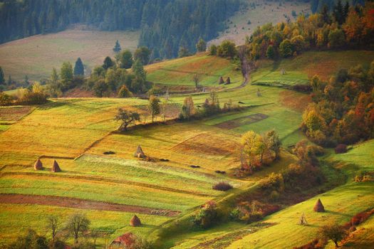 Autumn garden in Carpathian mountains. Orchard on the fall hills 