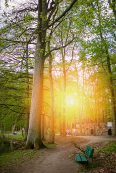 Park pathway and bench in early spring time