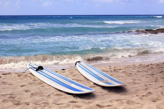 Surfboards at Dover beach on island Barbados on sandy shore by ocean