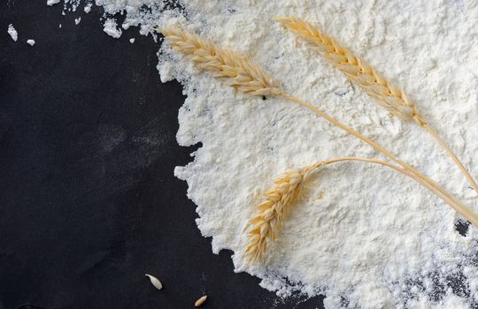 Whole flour and wheat ears on black background