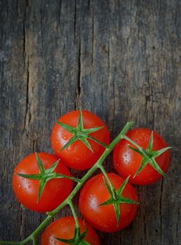 Cherry tomatoes on wooden background