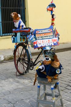 Two dogs on the street of Old Havana on Cuba