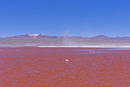 Red Lake, Bolivia, South America