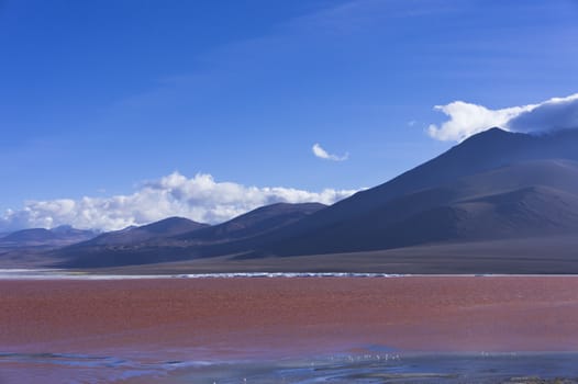 Red Lake, Bolivia, South America