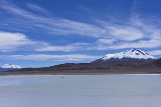 Laguna Capina, Bolivia, South America