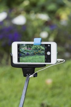 Stick with selfi Smart-phone on the screen which picture with flowers