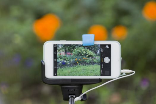 Stick with selfi Smart-phone on the screen which picture with flowers