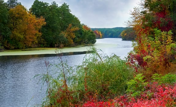 Autumn landscape of a calm river and the wooded shores with colorful foliage on a cloudy day.