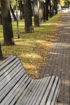 Wooden bench in the City Park of Golden autumn