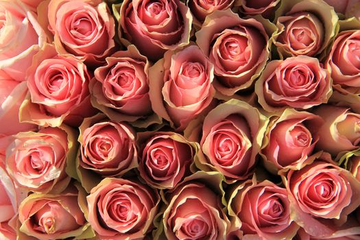 Pink roses in a floral wedding arrangement