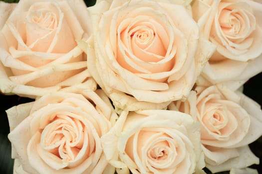 Pale pink roses in a floral arrangement at a wedding