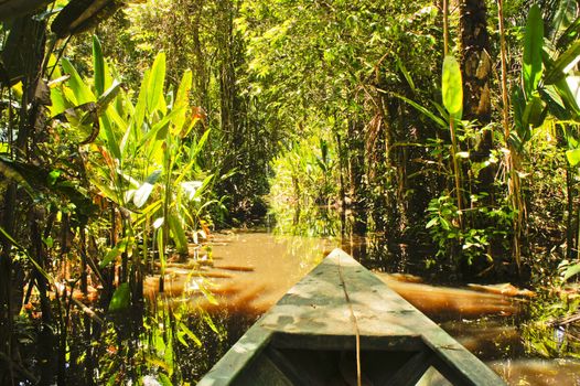 Amazon Basin, Peru, South America